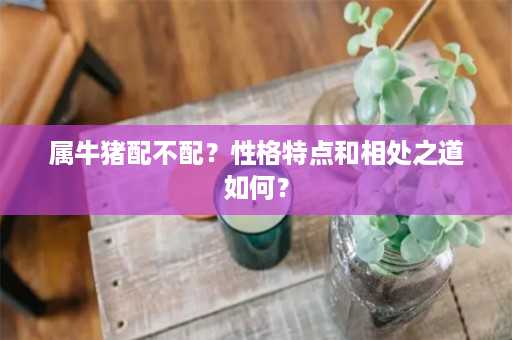 属牛猪配不配？性格特点和相处之道如何？