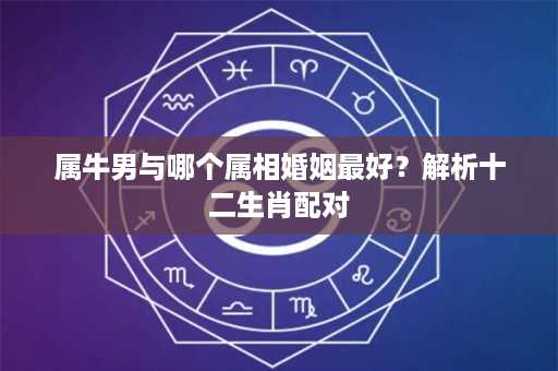 属牛男与哪个属相婚姻最好？解析十二生肖配对