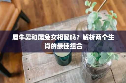 属牛男和属兔女相配吗？解析两个生肖的最佳组合