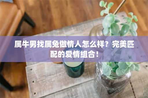 属牛男找属兔做情人怎么样？完美匹配的爱情组合！