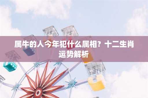 属牛的人今年犯什么属相？十二生肖运势解析