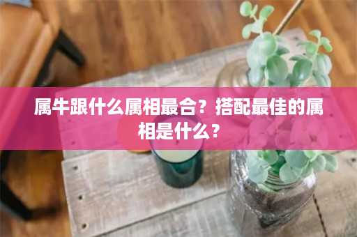 属牛跟什么属相最合？搭配最佳的属相是什么？