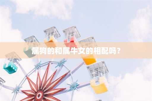 属狗的和属牛女的相配吗？