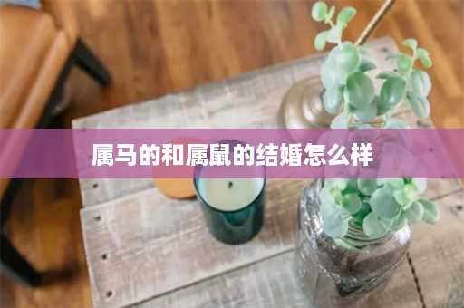 属马的和属鼠的结婚怎么样