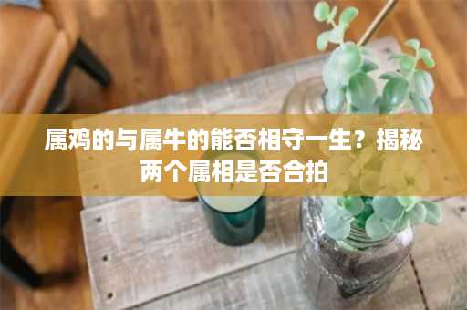 属鸡的与属牛的能否相守一生？揭秘两个属相是否合拍