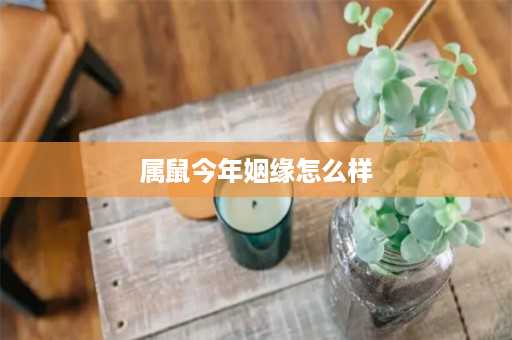 属鼠今年姻缘怎么样