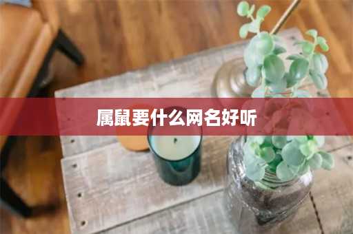 属鼠要什么网名好听