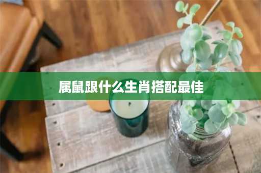 属鼠跟什么生肖搭配最佳