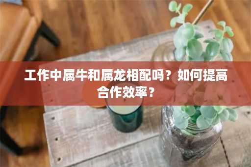 工作中属牛和属龙相配吗？如何提高合作效率？