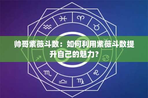 帅哥紫薇斗数：如何利用紫薇斗数提升自己的魅力？