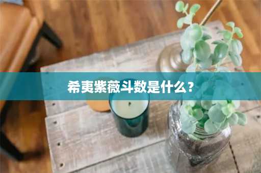 希夷紫薇斗数是什么？