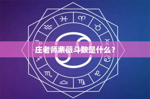 庄老师紫薇斗数是什么？