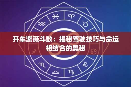 开车紫薇斗数：揭秘驾驶技巧与命运相结合的奥秘