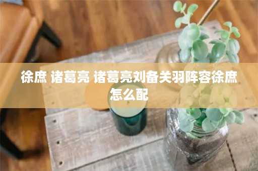 徐庶 诸葛亮 诸葛亮刘备关羽阵容徐庶怎么配