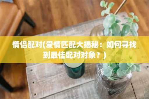 情侣配对(爱情匹配大揭秘：如何寻找到最佳配对对象？)