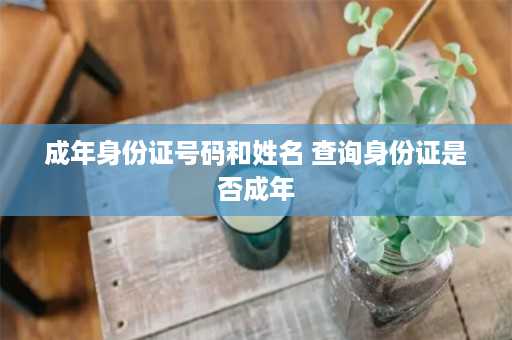 成年身份证号码和姓名 查询身份证是否成年