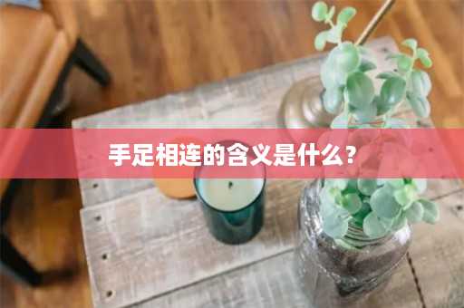 手足相连的含义是什么？