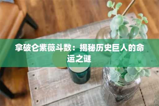 拿破仑紫薇斗数：揭秘历史巨人的命运之谜