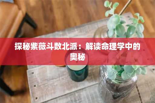 探秘紫薇斗数北派：解读命理学中的奥秘