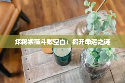 探秘紫薇斗数空白：揭开命运之谜