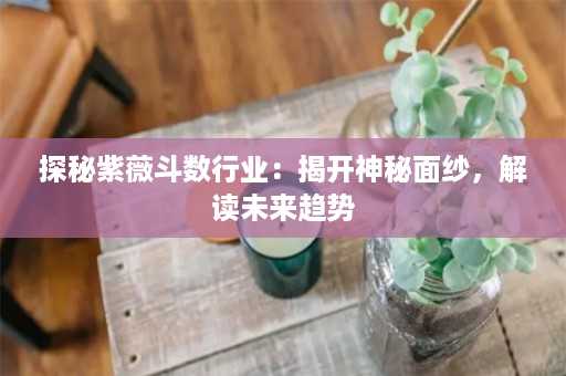 探秘紫薇斗数行业：揭开神秘面纱，解读未来趋势