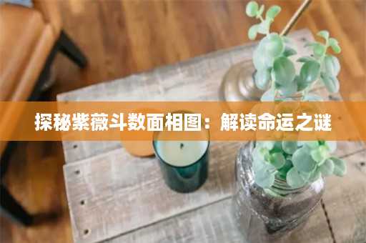 探秘紫薇斗数面相图：解读命运之谜