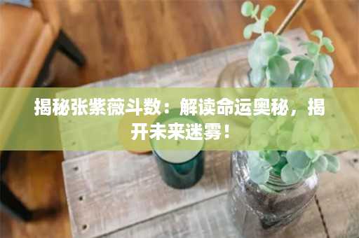 揭秘张紫薇斗数：解读命运奥秘，揭开未来迷雾！