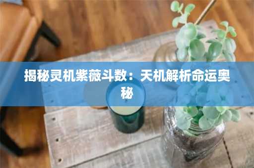 揭秘灵机紫薇斗数：天机解析命运奥秘