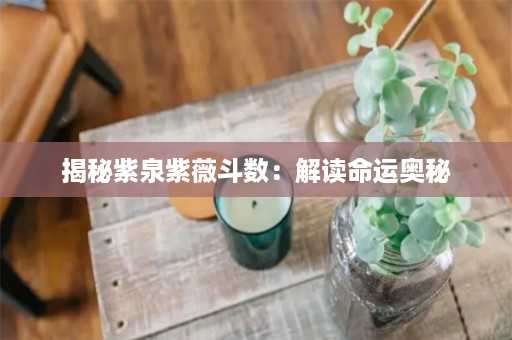 揭秘紫泉紫薇斗数：解读命运奥秘