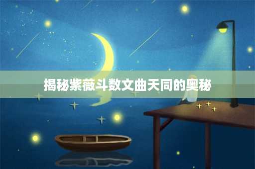 揭秘紫薇斗数文曲天同的奥秘