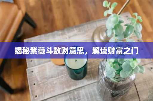 揭秘紫薇斗数财意思，解读财富之门