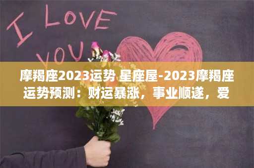 摩羯座2023运势 星座屋-2023摩羯座运势预测：财运暴涨，事业顺遂，爱情多波折？！