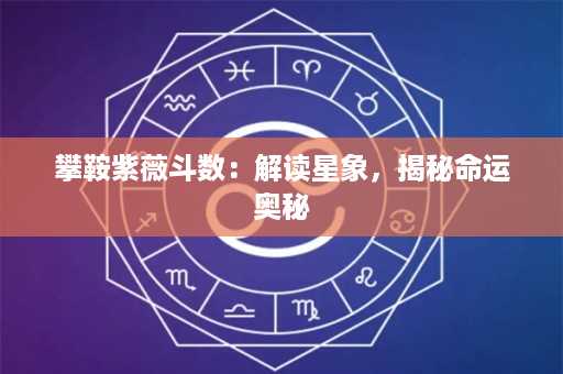 攀鞍紫薇斗数：解读星象，揭秘命运奥秘