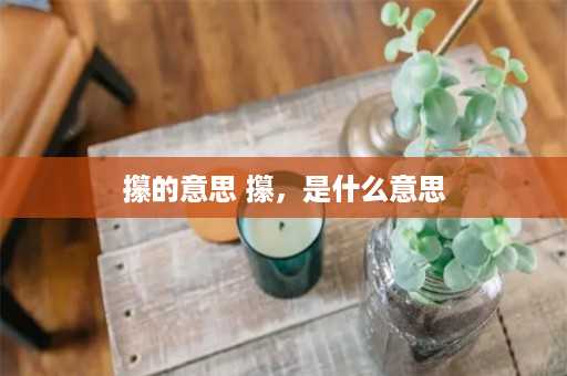 攥的意思 攥，是什么意思