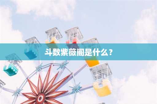 斗数紫薇阁是什么？