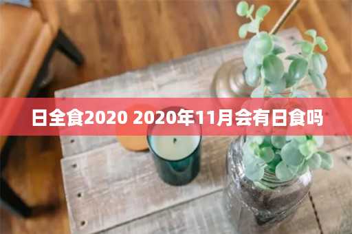 日全食2020 2020年11月会有日食吗