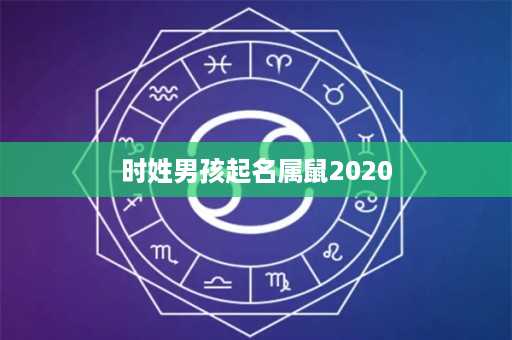 时姓男孩起名属鼠2020