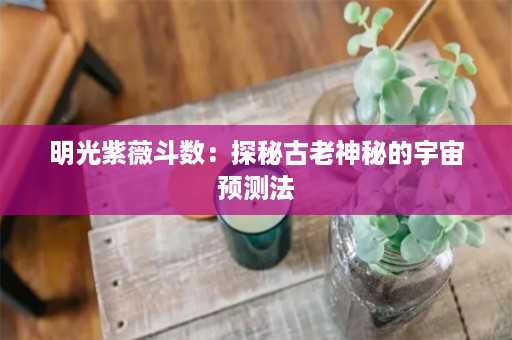 明光紫薇斗数：探秘古老神秘的宇宙预测法