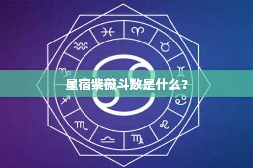 星宿紫薇斗数是什么？