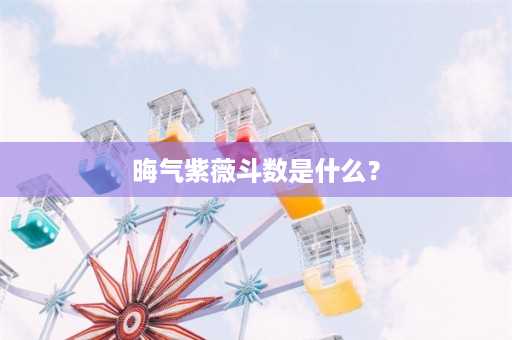 晦气紫薇斗数是什么？