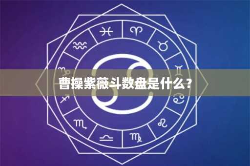 曹操紫薇斗数盘是什么？