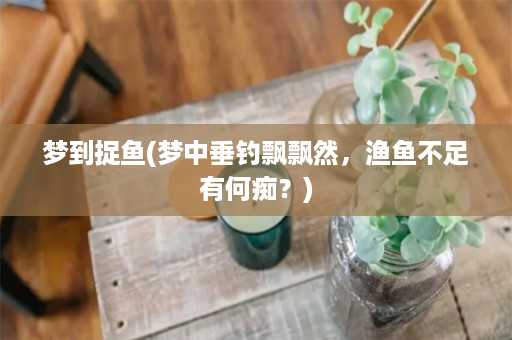 梦到捉鱼(梦中垂钓飘飘然，渔鱼不足有何痴？)