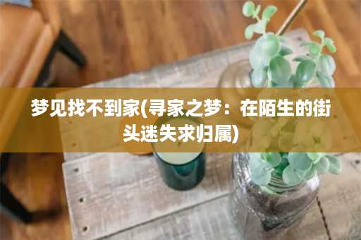 梦见找不到家(寻家之梦：在陌生的街头迷失求归属)