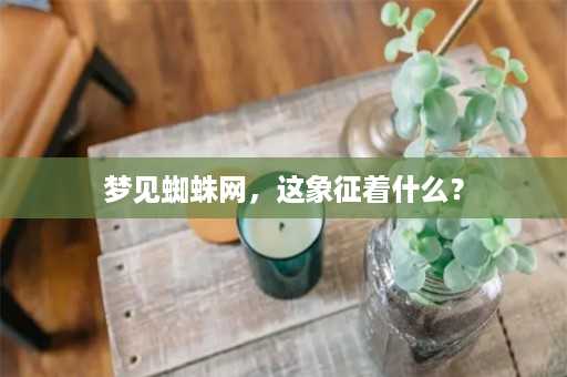 梦见蜘蛛网，这象征着什么？