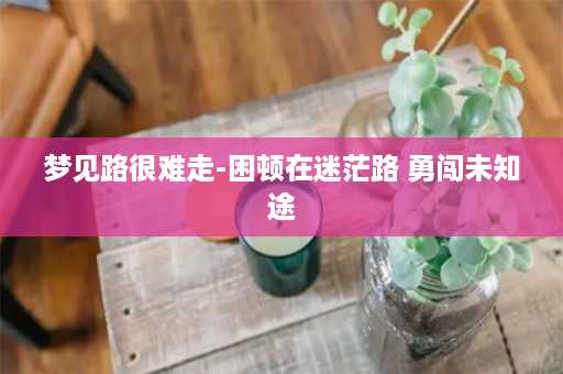 梦见路很难走-困顿在迷茫路 勇闯未知途