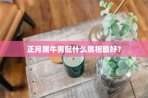 正月属牛男配什么属相最好？