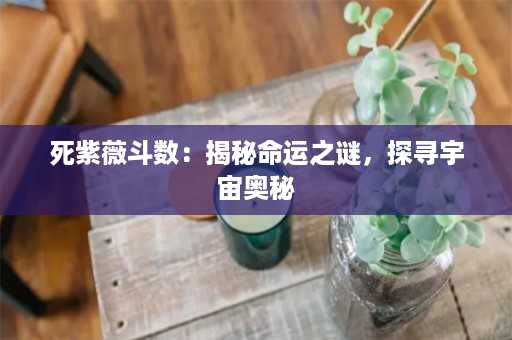 死紫薇斗数：揭秘命运之谜，探寻宇宙奥秘