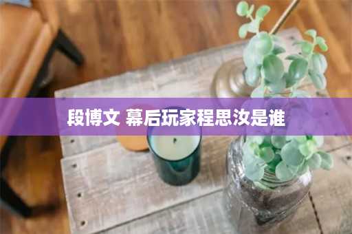 段博文 幕后玩家程思汝是谁