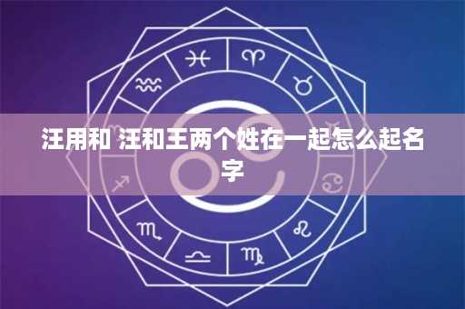 汪用和 汪和王两个姓在一起怎么起名字