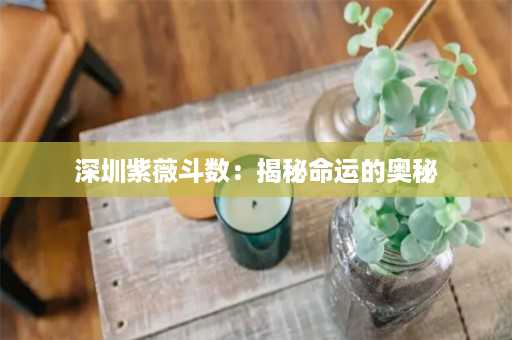 深圳紫薇斗数：揭秘命运的奥秘